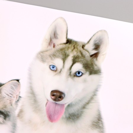 Stick 3D Interior pets 50*40cm-1