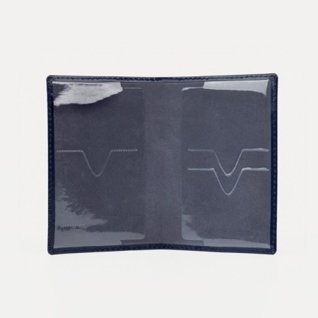 Cover for passport, blue color-2