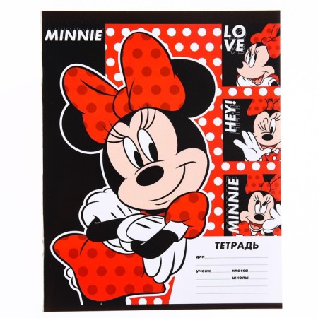 Notebook in the line of 18 sheets, 4 types of mix, cover coated paper, Minnie Mouse-6
