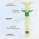 The ruler is multifunctional, for patchwork, 21 × 8 cm, yellow/green color