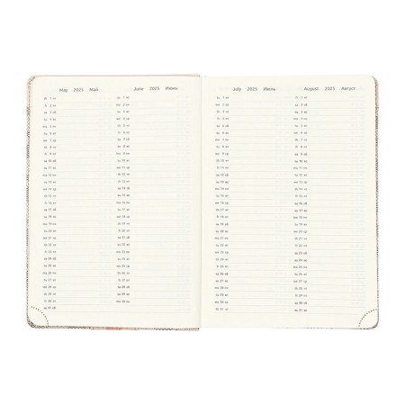 Dated 2025 DATA A5 168 sheets, DEVENTE. Expert, integral cover to leatherette, pocket, perforation, liesse, cream block 70 g/m2, gray-8