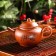 A set for the tea ceremony Ceramic "Hieroglyph", 5 items: kettle 200 ml, 4 Piala, 25 ml, brown color