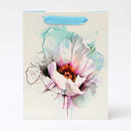 Laminated "depth" package, MS 18 × 23 × 10 cm-1