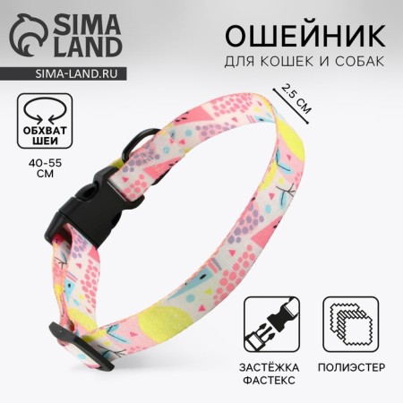 Collar "juicy mood", fastener - fastx, 2.5 cm, 40-55 cm