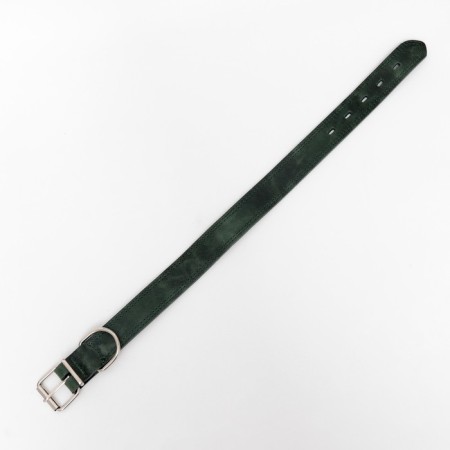 Collar leather two-layer 3.5 cm, Osh 46-58 cm, emerald-2
