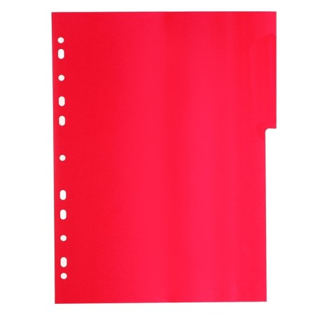 A set of A4 Office-2000 sheets, 12 sheets without indexation, color, plastic 120 μm-6