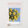 Flowers of Astra "Matsumoto", Ello, Sakata, 10 pcs