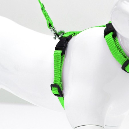 Kit for cats, width 1 cm, Osh 16.5-27 cm, fire 21-35 cm, leash 120 cm, green-2