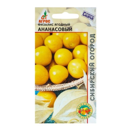 Seeds Phizalis "Pineapple" 0.1g*