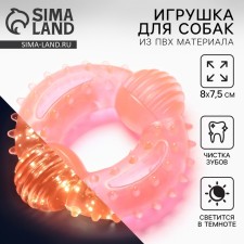 A toy for dogs Chewing luminous in the dark 