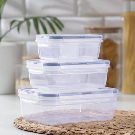 A set of lunch boxes rectangular, 3 pcs: 1.3 l, 0.7 l, 0.4 liters