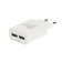 EXPLOYD EX-Z-1423, 2 USB, 2.4 A, MicroUSB cable, 1 m, white.