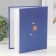 Photo album for 200 photos 10x15 cm, plastic. Sheets "SPB City Art: Violet"
