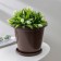 Pot with the Podon "Economy", 3 l, brown color