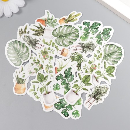 Stickers for creativity "Indoor plants" set 45 pcs 4.4x4.4x1.1 cm