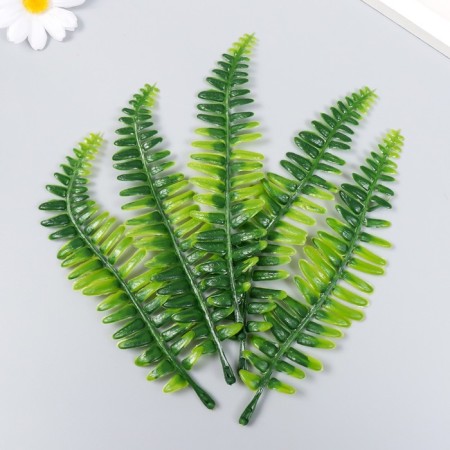 Decor for the creativity of "Nefrolepis sheet" set of 5 pcs green 16 cm-2