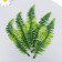 Decor for the creativity of "Nefrolepis sheet" set of 5 pcs green 16 cm