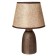 Table lamp "Diana" E14 40W Black with a golden patina 22x22x35 cm Risalux