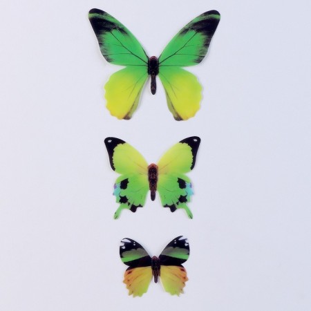 Set for decorating "Butterflies", 12 pcs, green color-2