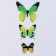 Set for decorating "Butterflies", 12 pcs, green color