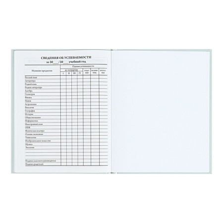 Universal Diary 5-11 classes, 48 ​​sheets "there is", matte lamination, a solid cover, a UV-lace, block 65 g/m2-9