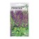 Lobelia flowers beautiful "foreman", 5 pcs