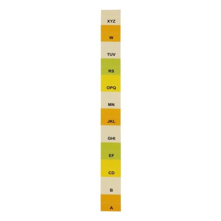 A65 elastic band, 12 departments, purple, pastel-5