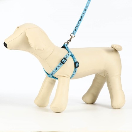 Set "Dogs", leash 120 x 1 cm, og 23-35 cm, blue-2