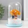 Souvenir plastic light "Kiss of couple" MIX 11x11x16 cm