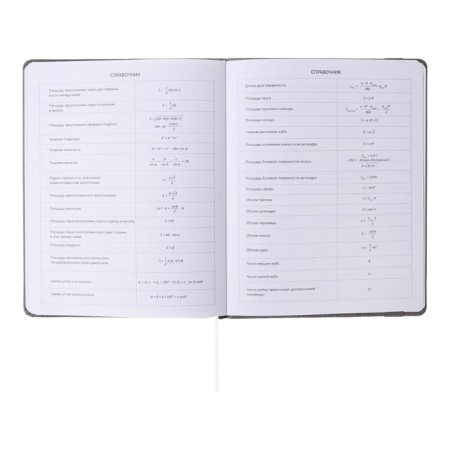 Universal diary for grades 1-11, hard cover, artificial leather, elastic band, lies, tinted block, 48 sheets-16