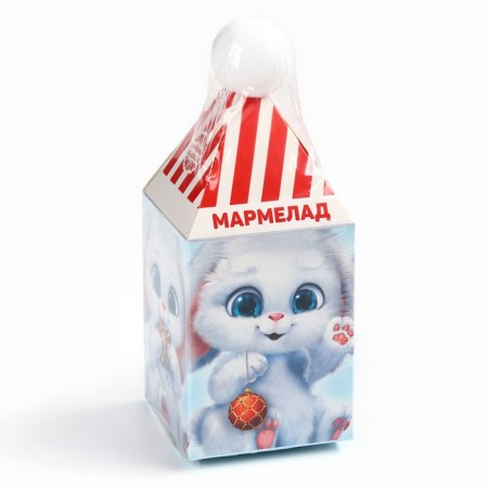New Year! Marmalade "Gift for you", 100 g-7