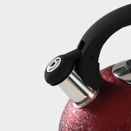 A kettle with a stainless steel whistle Snow, 3 l, induction, red color-2