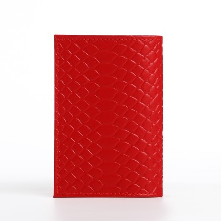 Cover for passport, red color-1