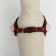 Relief harness 36-49 x 1.5 cm, red-hourly