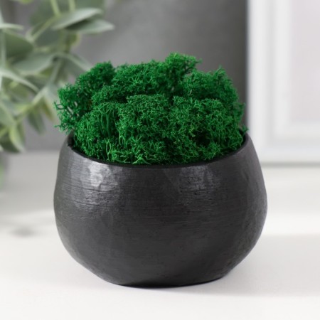Kashpo concrete "alien" height 5 cm, d-6 cm black with moss (moss green. Stabilizir)-2