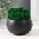 Kashpo concrete "alien" height 5 cm, d-6 cm black with moss (moss green. Stabilizir)