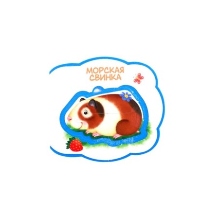 Pets. Riddles, puzzle-4