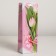Laminated package for a bottle, 12 x 9 x 36 cm
