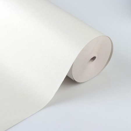 Newspaper paper 420 mm x 100 m-2