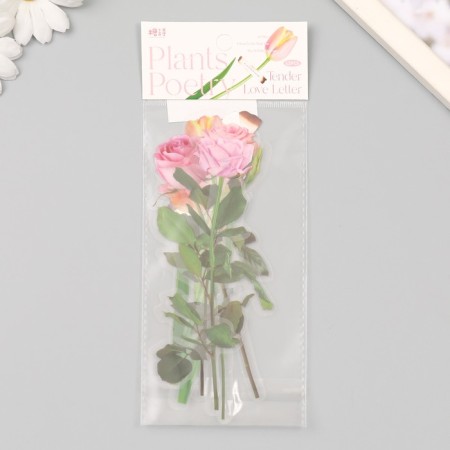 Plastic stickers "Flowers and quotes. Pink" set 12 pcs 8.5x21.5x0.2 cm-3