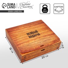 Gift box, packaging, “special gift”, 20 x18 x 5 cm, without tape
