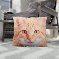 Decorative pillow 