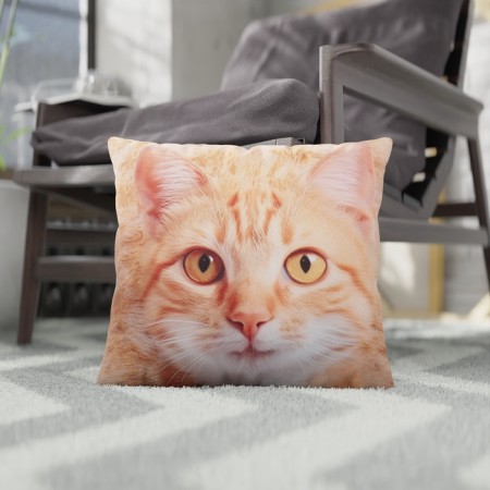 Decorative pillow "Ryzhik"