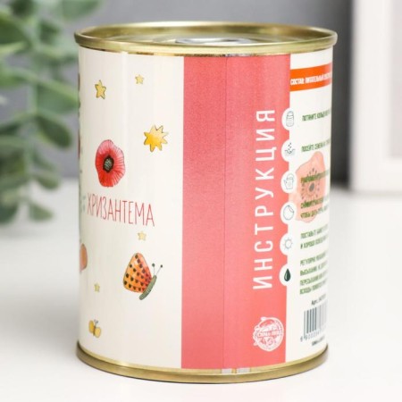 Growing gift of grass "Chrysanthemum"-1
