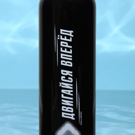 Water bottle "Move forward", 700 ml-4