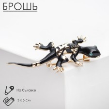 Brooch 