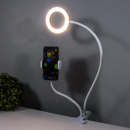 Board Octopus LED USB Rose 11x63 cm Risalux-5