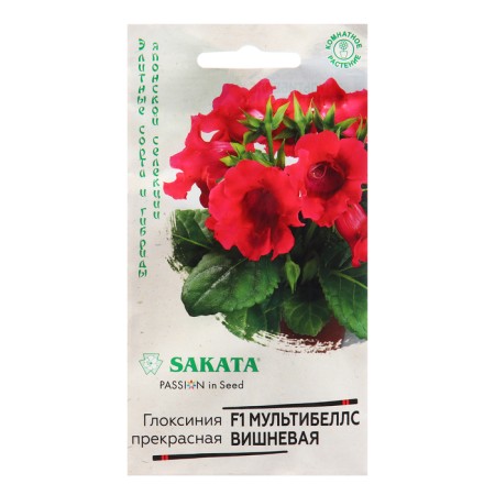 Gloxinia seeds "Multibells Vishnevaya", F1, 4 pcs.