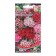Flowers of cloves Turkish "Monpasier", 40 pcs