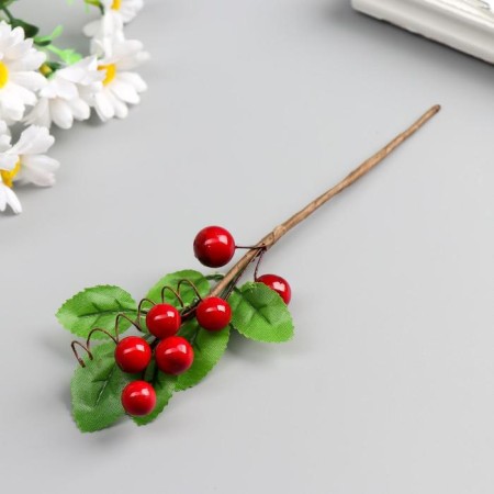 Decor for creativity "Picture with the 7th berries" 20x5 cm